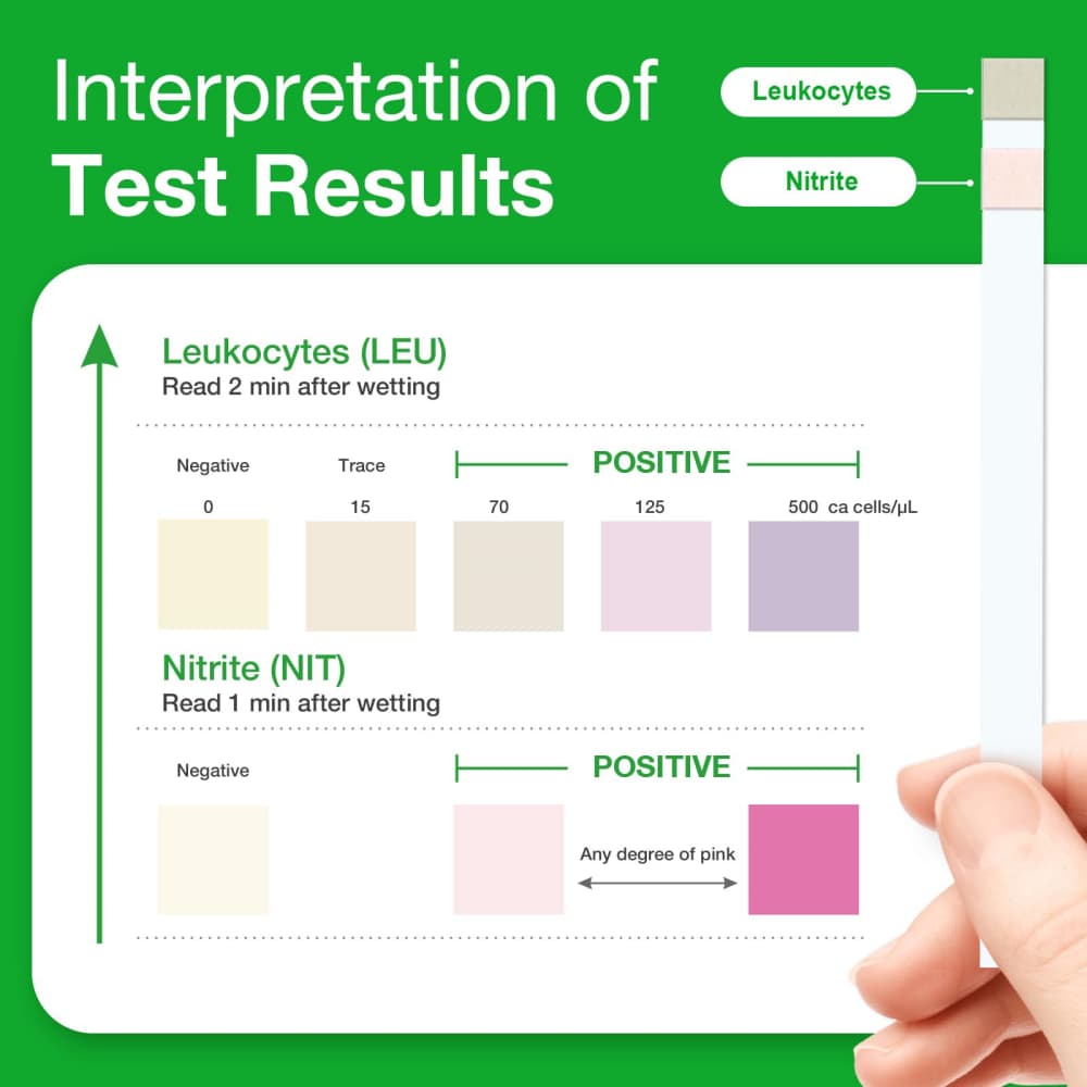 easy-home-kit-test-infezioni-urinarie-uti-strisce-singolarmente-incartate image 5