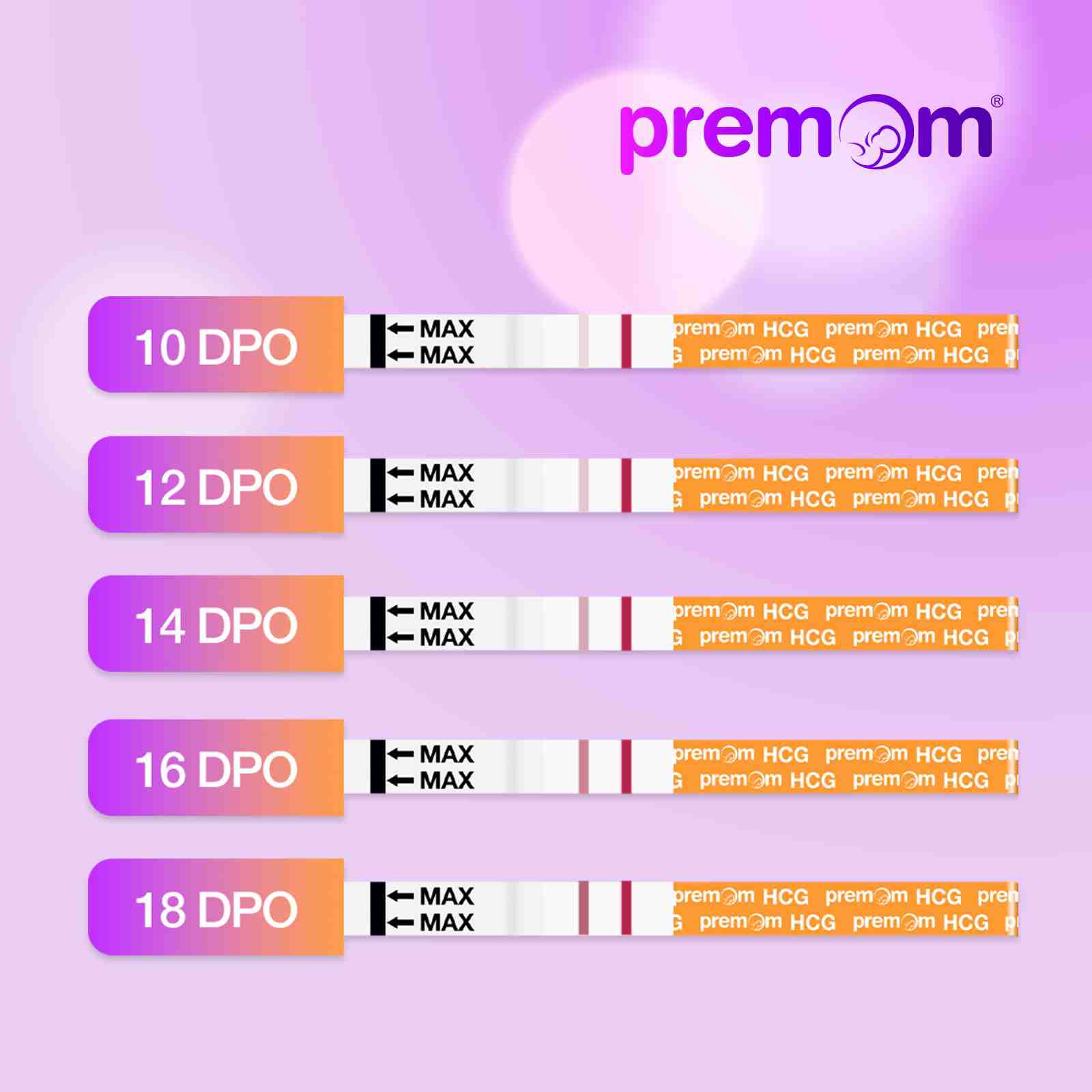 premom-pregnancy-test-strips-strisce-test-gravidanza image 2