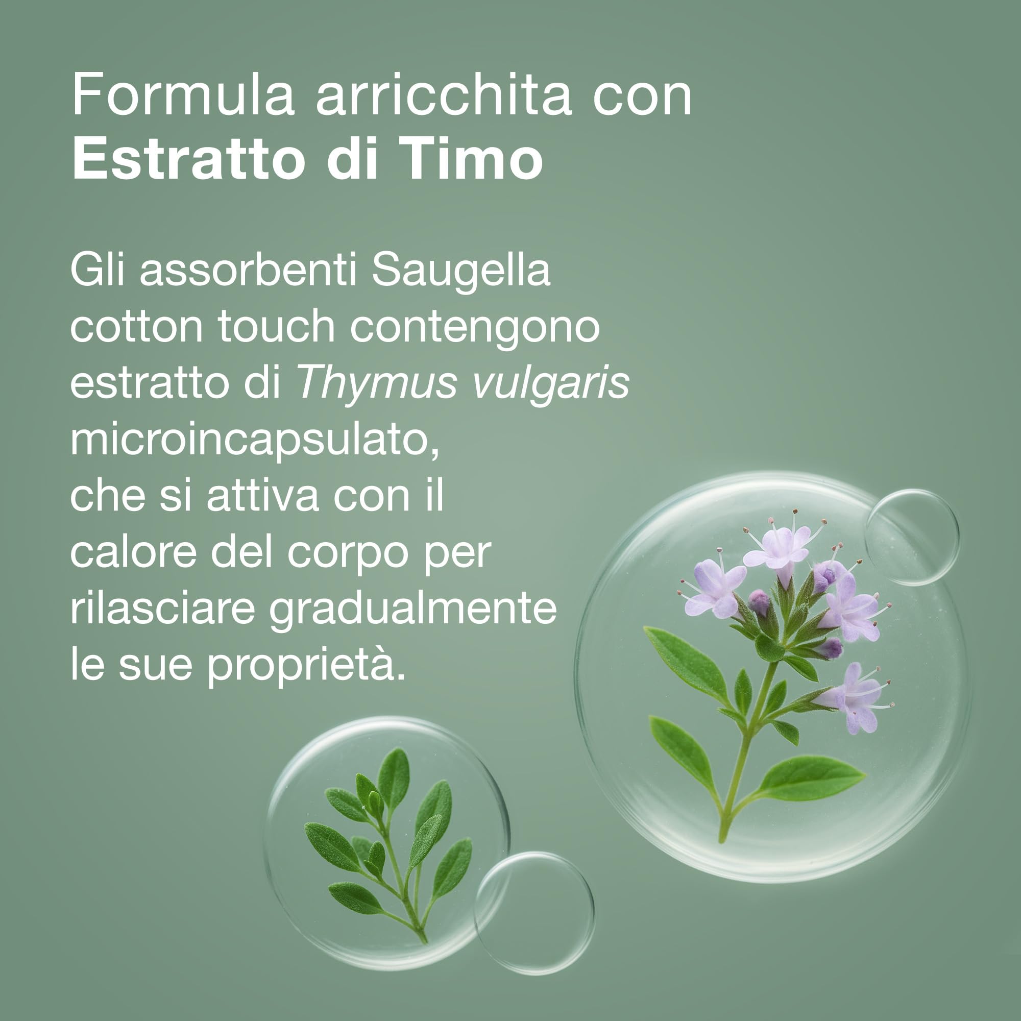 saugella-cotton-touch-assorbenti-notte-con-ali-36-pezzi image 5