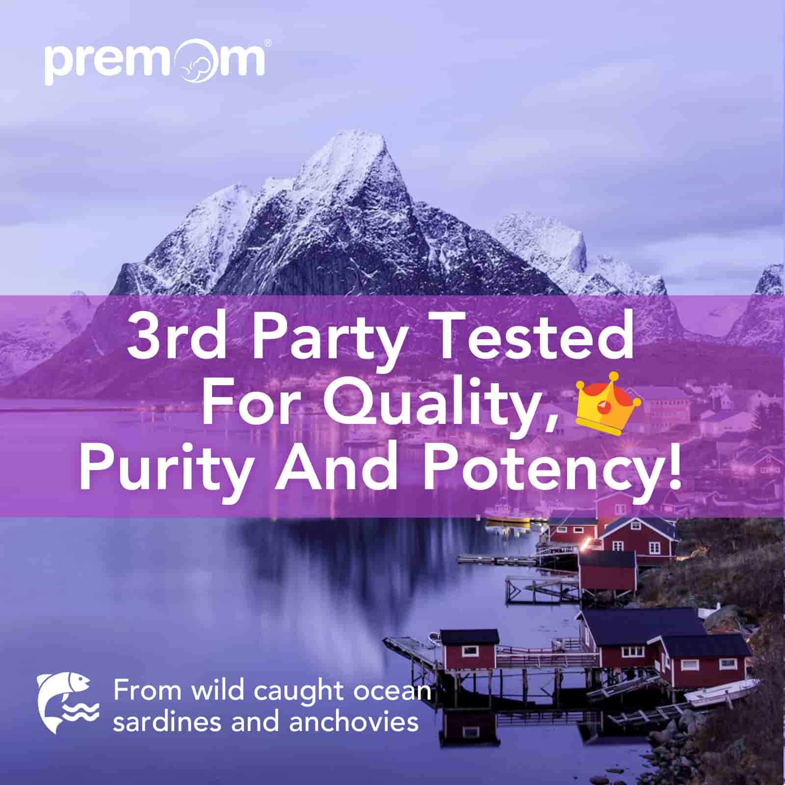 premom-prenatal-dha-fish-oil-integratore-prenatale-dha-da-olio-di-pesce image 8